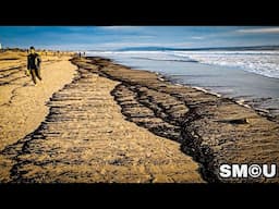 𝗔𝗦𝗛𝗘𝗦 𝗢𝗙 𝗗𝗘𝗩𝗔𝗦𝗧𝗔𝗧𝗜𝗢𝗡: Palisades Fire Debris Lines Santa Monica Beach, Sparks Health Warnings