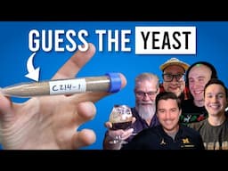 Mystery Yeast Challenge - Can Homebrewers GUESS THE STRAIN?