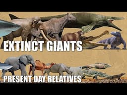 Extinct Giant Creatures & Their Present Relatives