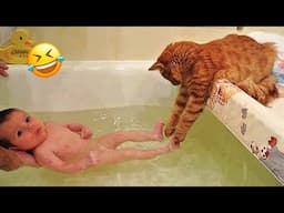 When a silly Cat becomes your best friend 😹 The funniest animals and pets 😅