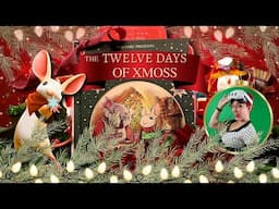 The 12 Days of XMoss