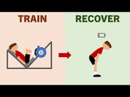 How Long Does it Take to Recover From a Workout?