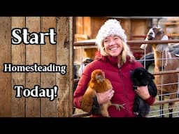 Small Acreage Homesteading: Start Your Journey with Little Space