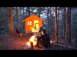 Winter Camping Under the Rain with My Dog in a Wooden Cabin