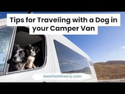 Van Life: Tips for Living in a Van with a Dog