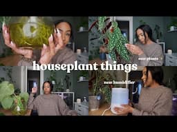 Plant Chores | new plants, propagating philodendron, propagation updates & new humidifier 🌱💡📝