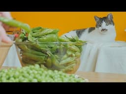 [ASMR] 완두콩을 깐다.. 톡톡 [No-Cut] shell peas  [스윗더미 . Sweet The MI]