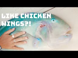 fish actually have wings, and you can eat them..