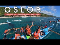 OSLOB 🇵🇭 | 2025 Travel Guide + Expenses - Whaleshark Watching + Bluewater Sumilon + Tumalog Falls