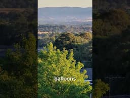 🌅 Yarra Valley MAGIC: 5 Balloons at Sunrise - You WON'T BELIEVE IT!