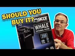 Sicce Whale 200 Setup and Review