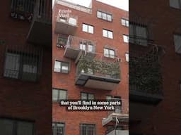 Hasidic Jews build their balconies staggered for surprising reasons #brooklyn #nyc #judaism