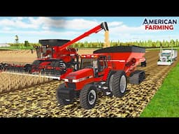 STARTING FALL HARVEST ON BIG IOWA FARM! (80 BU BEANS) | AMERICAN FARMING