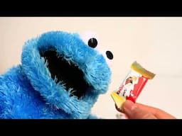 Sesame Street Cookie Monster