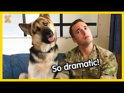 🐕🎥The most DRAMATIC DOG on the planet😂Best Dog Videos