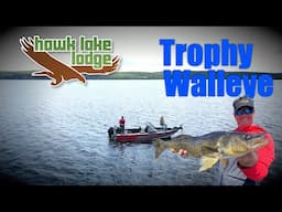 Hawk Lake Trophy Walleyes