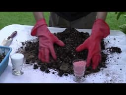 Recycle the used compost إعادة تدوير الكومبوست المستهلك