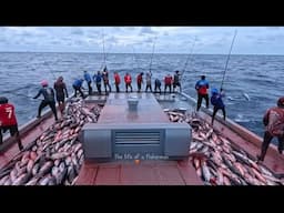 Explosive Skipjack Tuna Hookups – Pole and Line Edition🎣