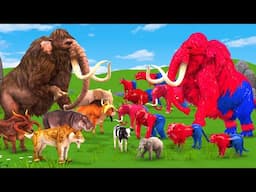 10 Spider Elpehant Mammoth vs Prehistoric Mammals vs White Albino Animals Size Comparison vs Animals