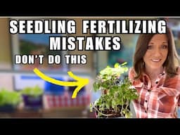 3 Seedling Fertilizing Mistakes & How Avoid To Them