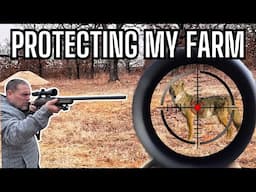 Predator's are Attacking Our Homestead! Something is Killing Our Farm Animals