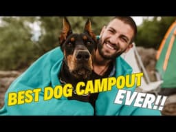 Dog Camping OFF-GRID with SpotOn Dog Collar GPS Fence