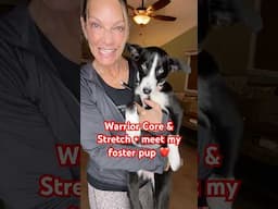 30 min warrior core & stretch + meet foster pup Sadie 🐶 & we’ll talk foster fail & non attachment🙏