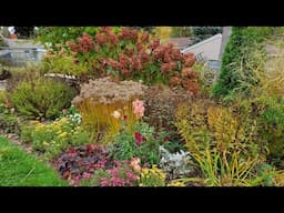 Late October Garden Tour, Saving Canna and Elephant Ears to Overwinter, Zone 5a