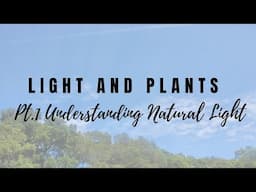 Light and Plants - Part 1: Understanding Natural Light