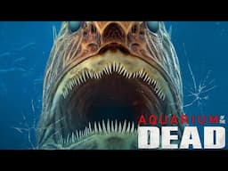 Aquarium of the Dead 2021 Horror Film | Review