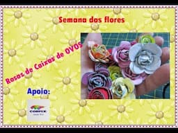 DIY - Flor de Caixa de ovo - Egg Carton Flower - Flor de Cajas de huevos