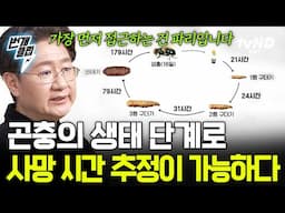 [#벌거벗은세계사] 시신의 사망 시간을 확인하는 방법?! 곤충으로 범죄의 진실을 밝히는 '법곤충학' | #번개클립