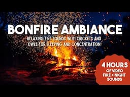 Campfire Ambience with Crackling Fire & Nature Sounds | Bonfire Sleep ASMR, Relaxation & Study Aid