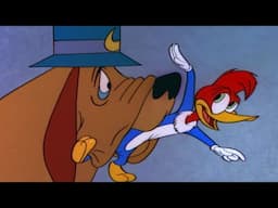 Woody Gets Captured! | 3 Hours of Classic Episodes of Woody Woodpecker