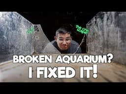 Restoring a broken Aquarium - I did it!🤩