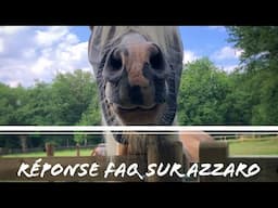 RÉPONSE À LA FAQ SUR AZZARO 🐴