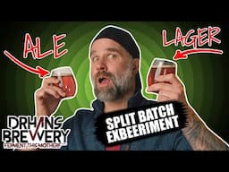 Ale Vs Lager Yeast Showdown: All Grain Split Batch Brewing Experiment