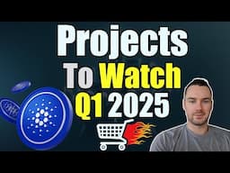 Cardano NATIVE ASSETS To Watch This Quarter! Community Picks!