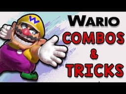 Wario Combos & Tricks (Smash Ultimate)