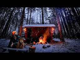 Surviving BITTER COLD in an Old Log Cabin Shelter | Minnesota