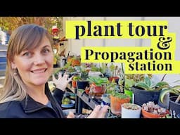 Tour My Succulent Propagation Station: Tips & Plant Projects