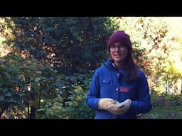 Composting at Home