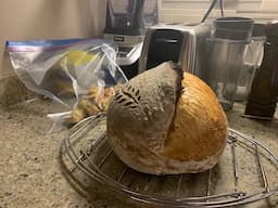 Simple Sourdough - My method for a great oven spring (quick version)