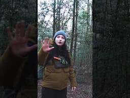 Premiering live tonight at 7:30pm est #bigfoot #bigfootwitness #paranormalactivity #paranormal