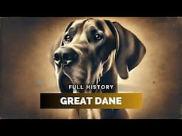 Great Dane - Full History