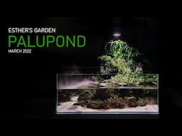 PALUPOND - Esther's Garden - MARCH 2022