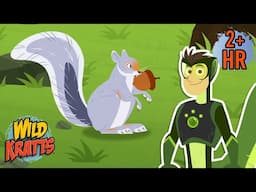 Squirrel Appreciation Day (Jan 21) | Amazing Squirrel Rescue! | Wild Kratts