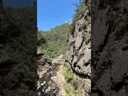 📍Windows Walk, Karangahake Gorge, New Zealand