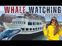 Boston Whale Watching tour | Humpback whale | Solo in USA | Boston Travel Guide vlog | India to USA