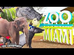 ZOO MIAMI TOUR! Reptiles, Birds, & More!